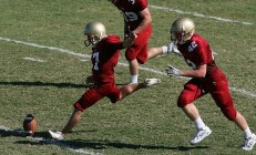 开云体育官方网站-终场绝响与不灭火焰，拜仁最后时刻击退荷兰，莱奥状态炽热如焰