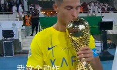 开云体育在线-瑞典队鏖战德国队，奥恰洛夫状态火热的简单介绍