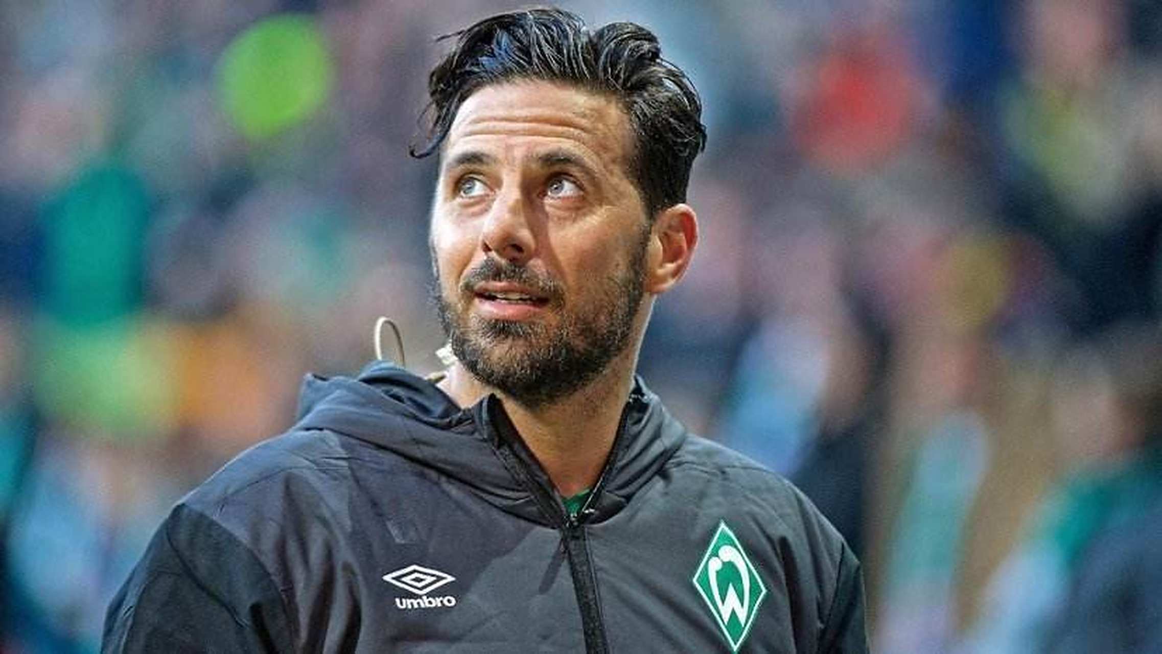 不莱梅主教练表态:球队需要整体提升的简单介绍 不莱梅主教练表态:球队需要整体提升的简单介绍