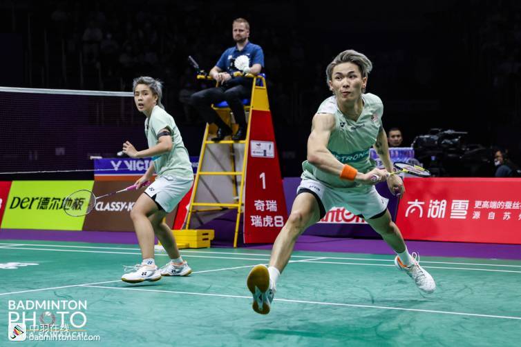 包含法国队横扫印度队，郑思维点燃赛场的词条