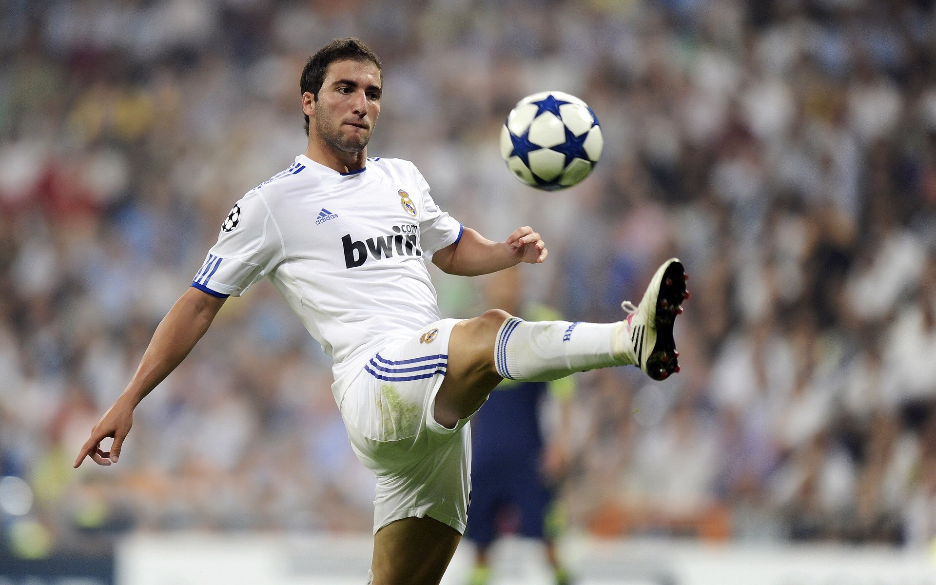 从浙江到世界，当东方坚韧遇见未来主宰—文班亚马2026世界杯封神之路